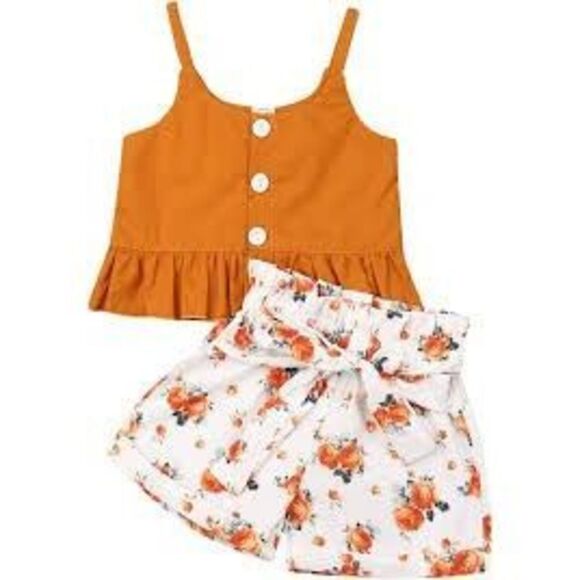 NWT Baby Girls Shishifang 2 Pc Floral Tie Waist Peplum Top Outfit - Sz 18-24 mo - Picture 1 of 1